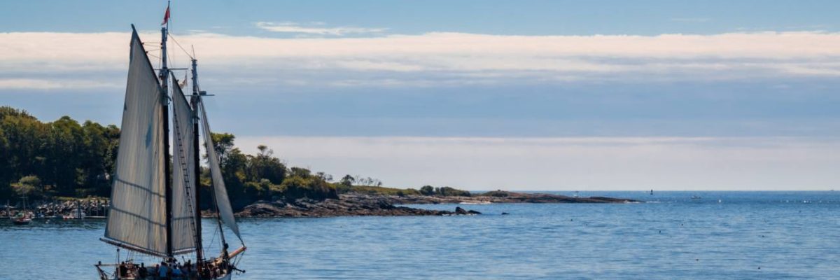 peregrine-photography-VDwkRGdGdQE-unsplash